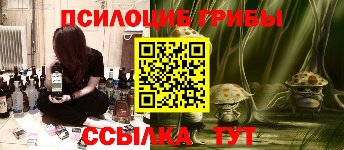 купить   Вход с VPN  Дзержинский  Псилоцибиновые грибы GOLDEN TEACHER 