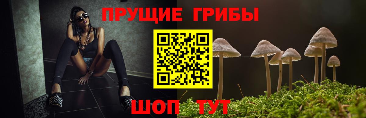 Галлюциногенные грибы прущие грибы Дзержинский